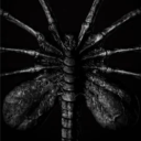 darkestsouler