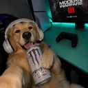 dubecksagaz
