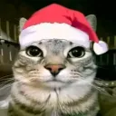 nikolatr.123