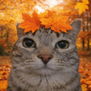 User avatar for matchamew_