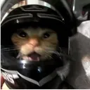 unapersona0899 avatar