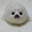 noahnotnoticed