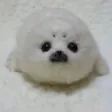 noahnotnoticed