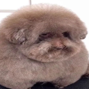 avatar ♡𝓶𝓪𝓷𝓭𝔂♡