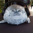 kaz4iel4 member profile picture