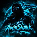 amir_vanta