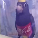 avatar Genesis the PC builder Tech guy