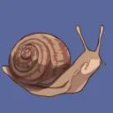 salubrious_snail