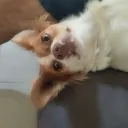m3rr_25 avatar
