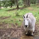 nowgamer3_67260 avatar