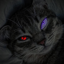 avatar wolf