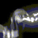 avatar The Randomizer