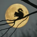 thenocturnalsquirrel