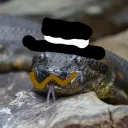 snakeington