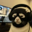 roaminglol avatar