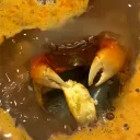 kyronixes