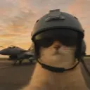 catwarrior121