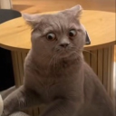 avatar Yoooooooooooo