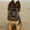 rebornfromsin27 avatar