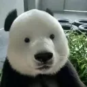 alexanders.dm avatar