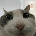 laparocop#0