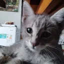 melanyguzman. avatar