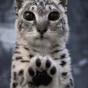 elululu_.