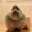 elululu_.