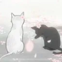 ilikecats.03