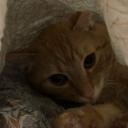 tafwashere's profile picture