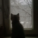 avatar 𝓚𝔂𝓻𝓪