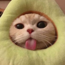 avatar Meimei.