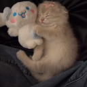 avatar best ovtk of the years