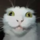 oltsu_15