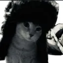 b34niebaby__79931 avatar