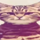 detect3d