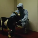 weahse