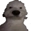 smiley_gamer3000