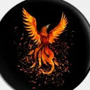 aryashbhalerao