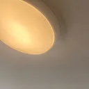 _draxyy_