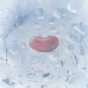 icecubewoah avatar