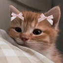 avatar Prachiiiiii