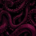 hydorsoa