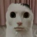 kqrma1234