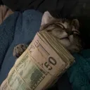 fraudster1337