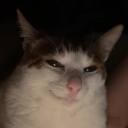 avatar Goosegeon