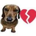 gorilatag2783 avatar