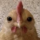 tami ᵎᵎ's avatar