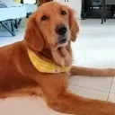 Pte Annabelle Lim Luo Xi