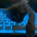 vipaaxx